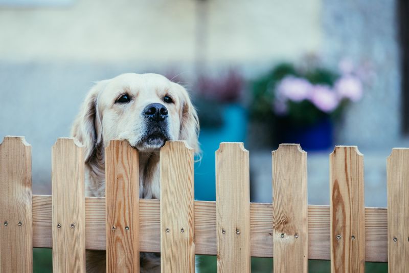 Wooden Dog Fence Installation in Sacramento, CA